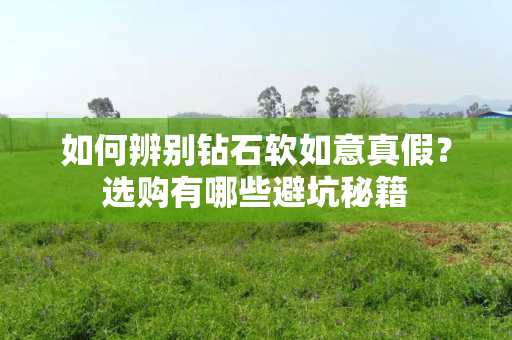 如何辨别钻石软如意真假？选购有哪些避坑秘籍